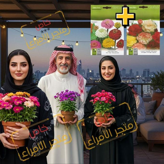 بذور الزهور المنزلية
